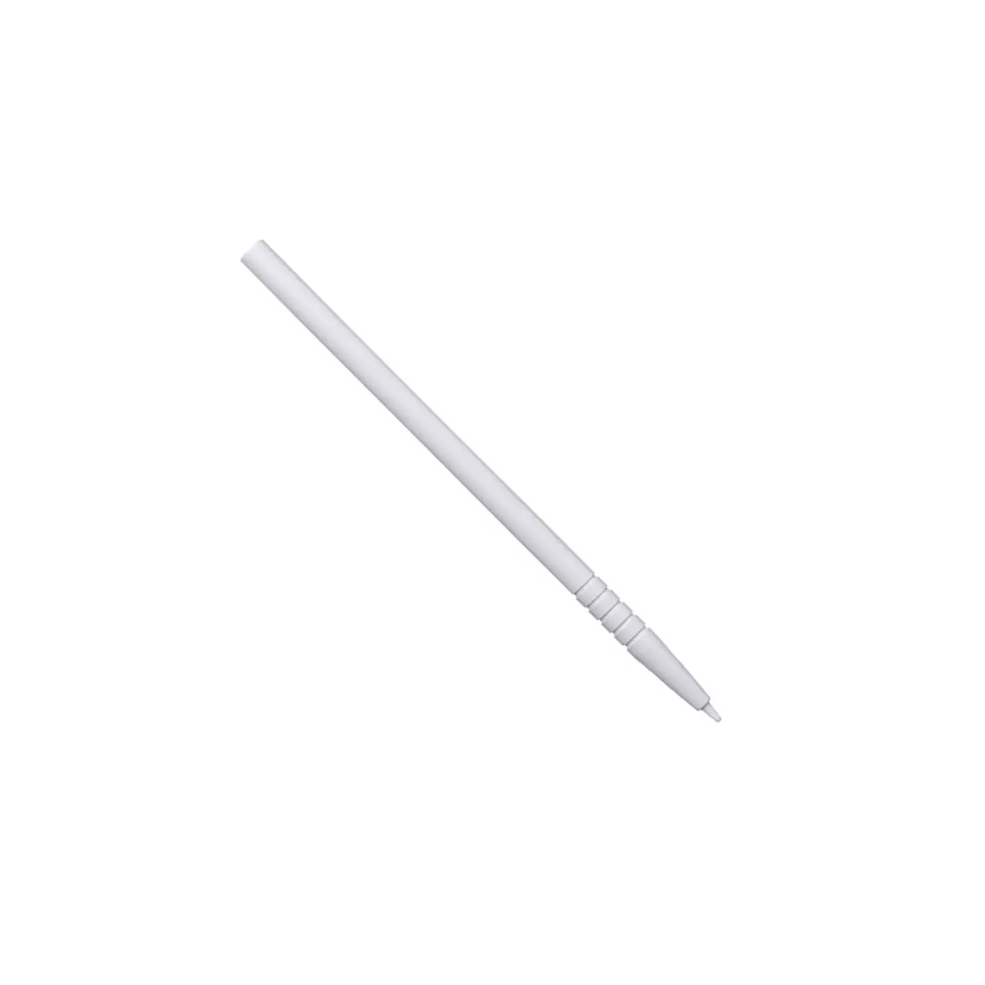 Casio CLASSPAD II (FX-CP400) Touchscreen Stift