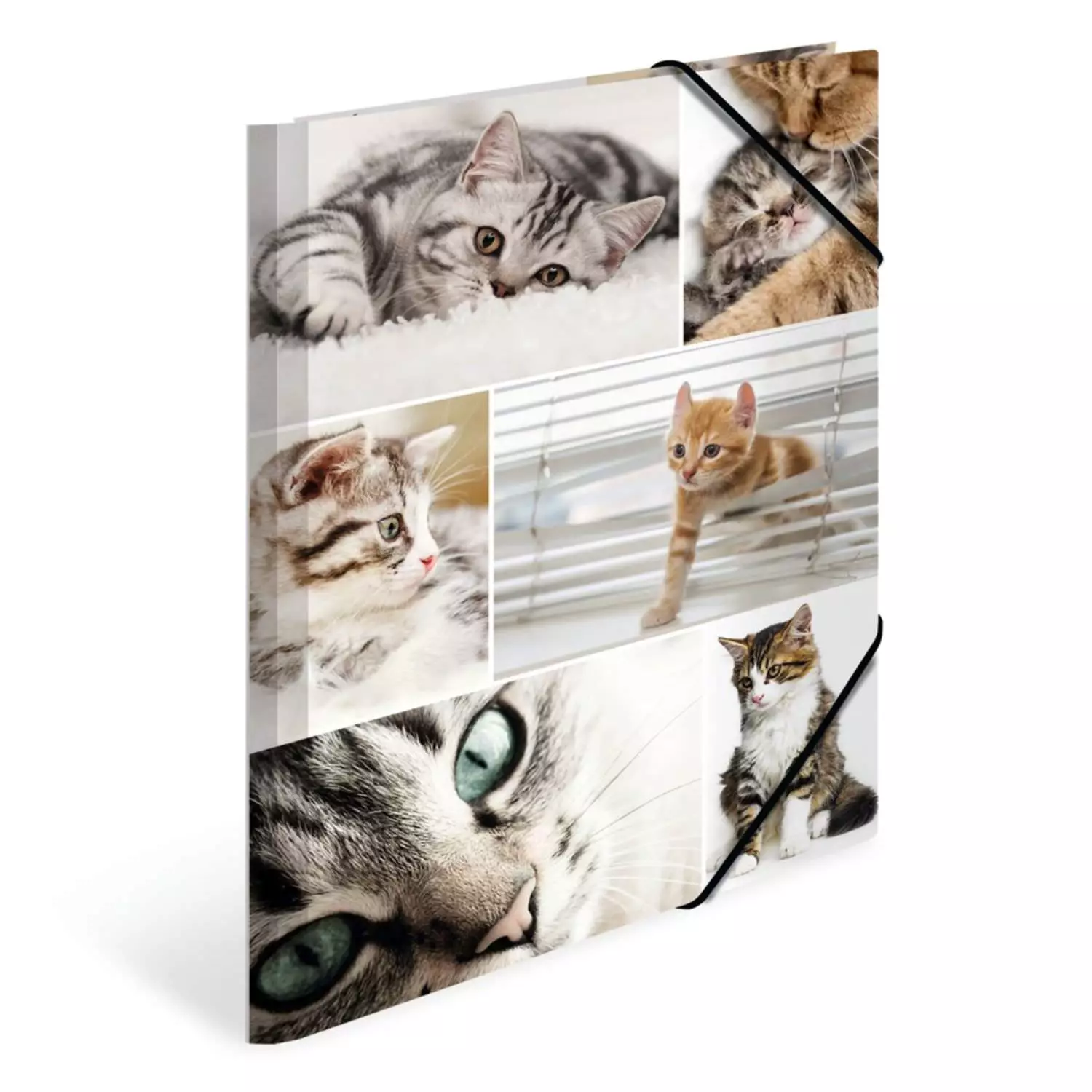 Herma Kartonmappe A4, Katzen