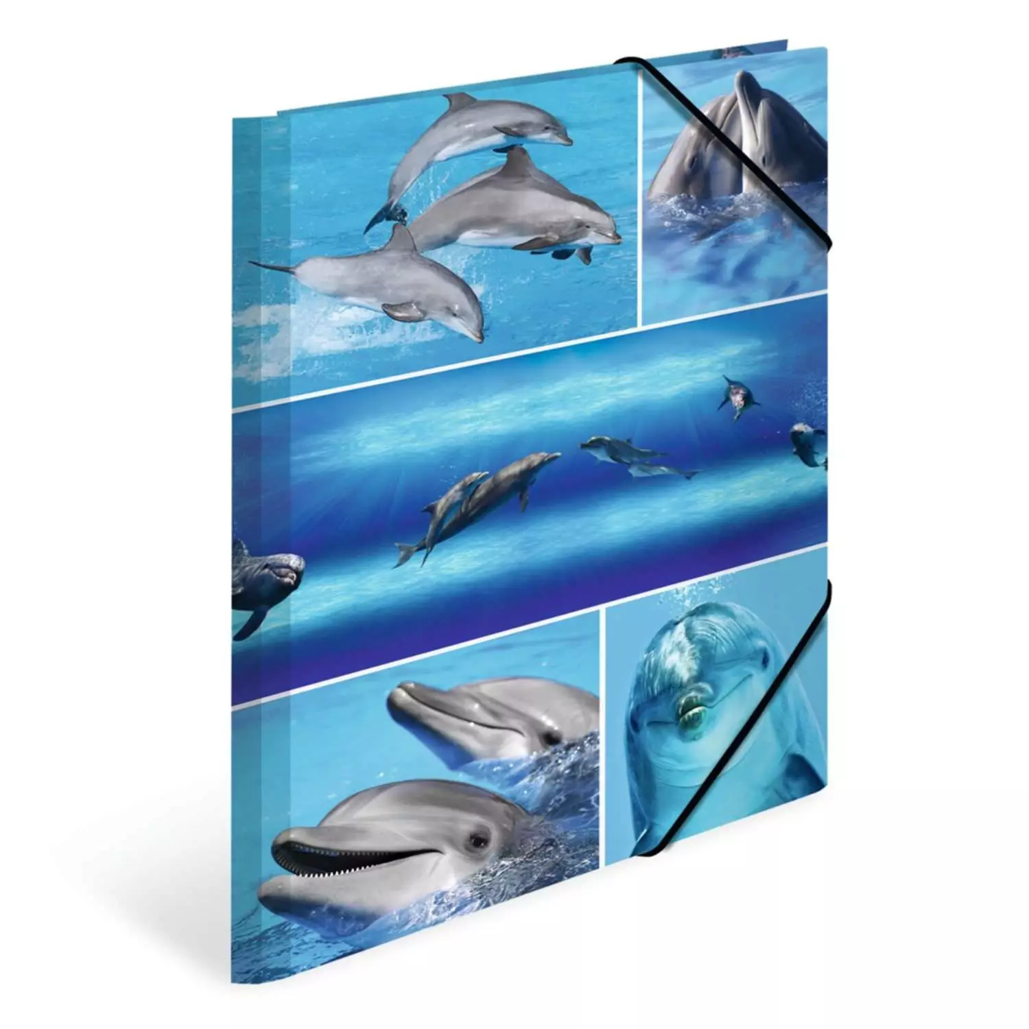 Herma Kartonmappe A4, Delfine