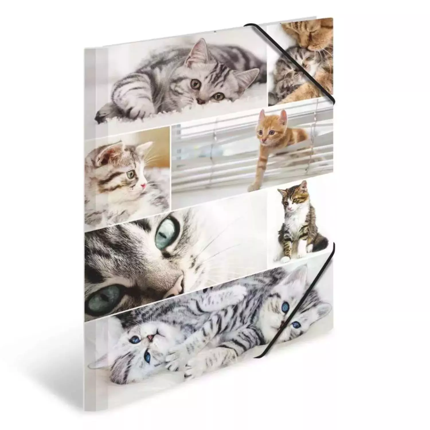 Herma Kartonmappe A3, Katzen