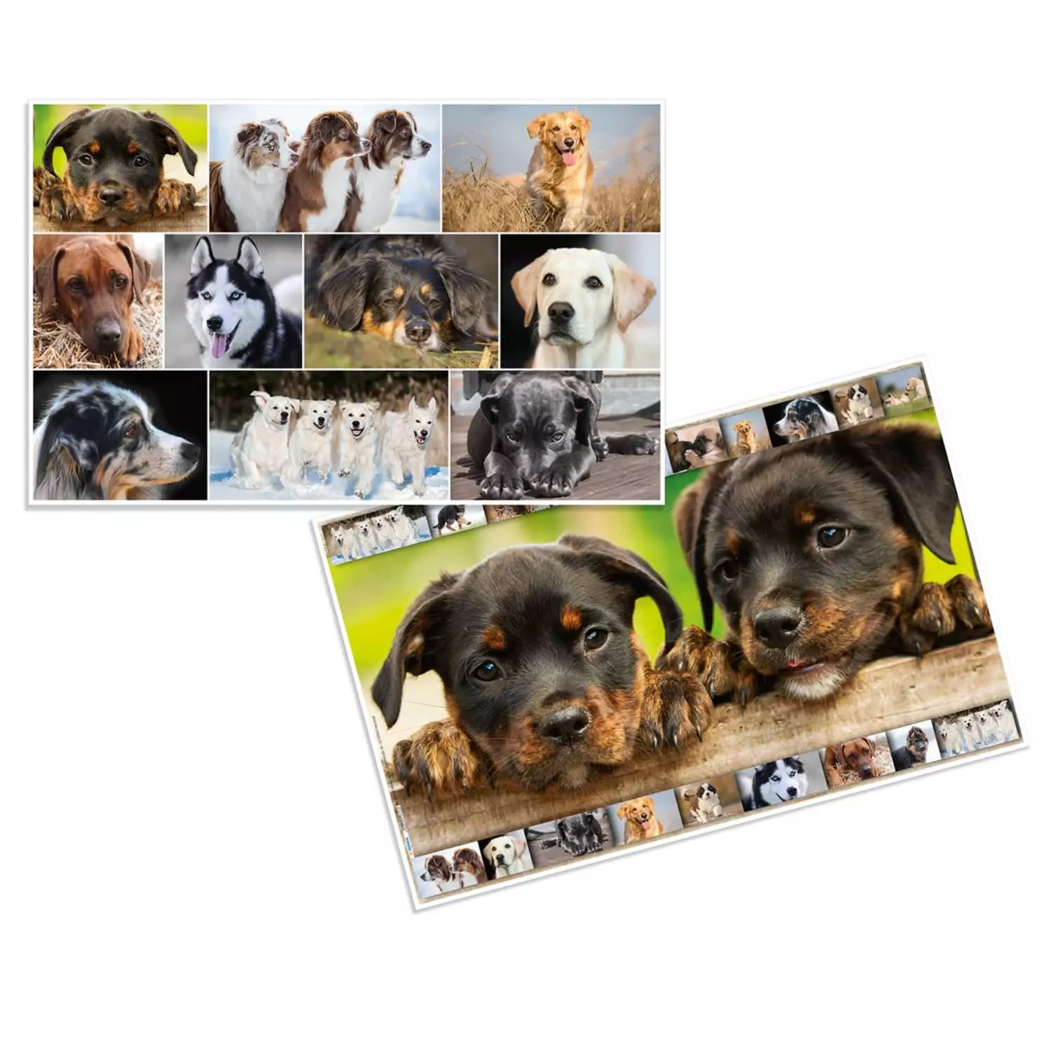 Herma Schreibtischunterlage mit Motiv, Hunde (Wendemotiv)