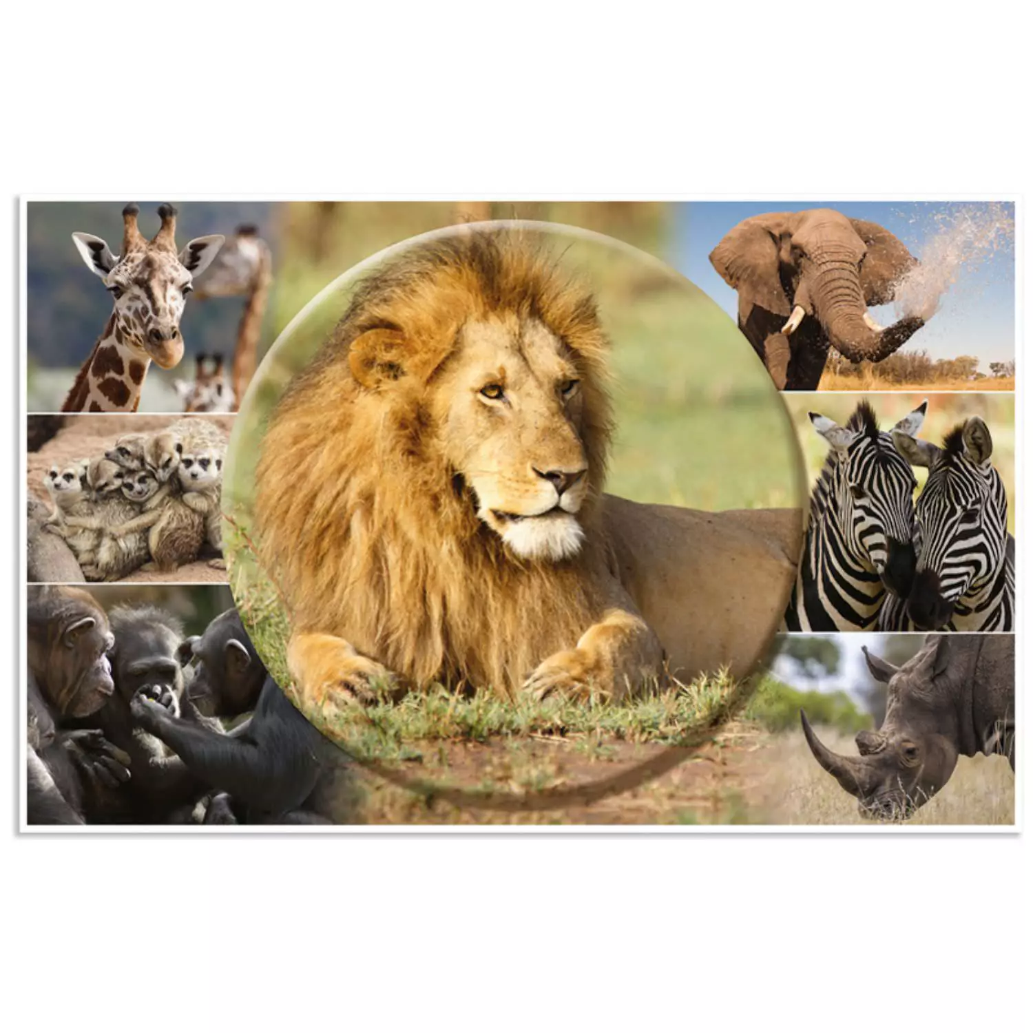 Herma Schreibtischunterlage mit Motiv, Afrika Tiere (Wendemotiv)