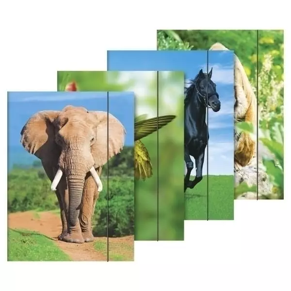 Sammelmappe A3 Tiere Gummizug