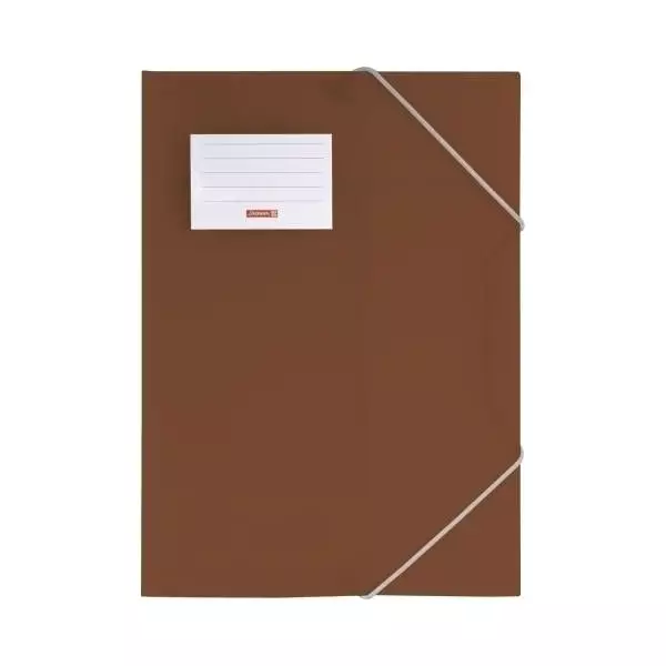 Sammelmappe A4 FACT! braun