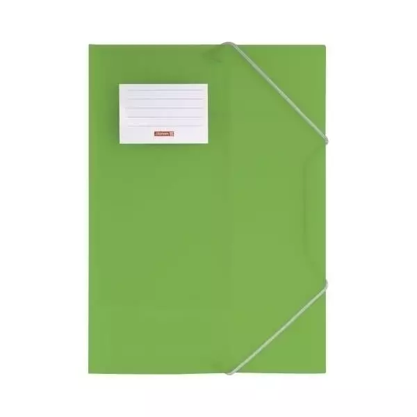 Sammelmappe A4 FACT! hellgrün