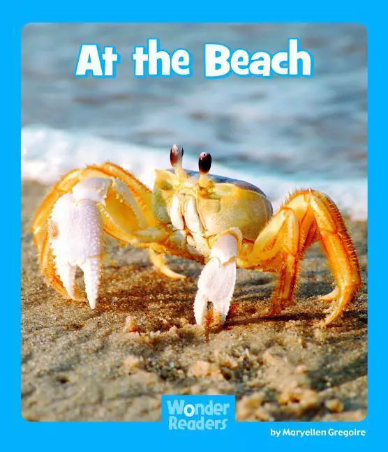 At the Beach